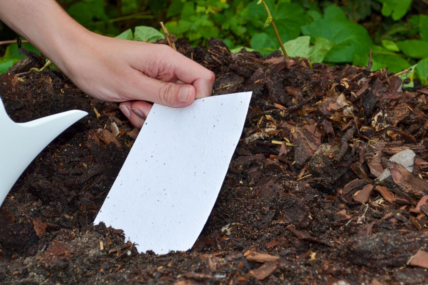 Seed Paper From Used Cardboard Boxes : 8 Steps (with Pictures