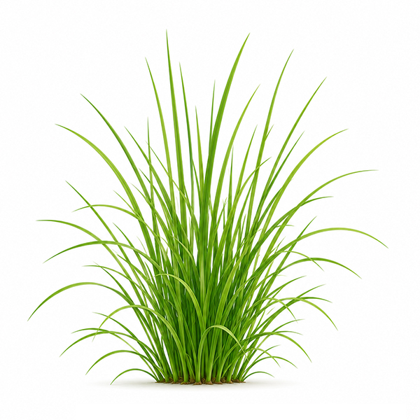 Mini flowerpot with seeds - Image 15