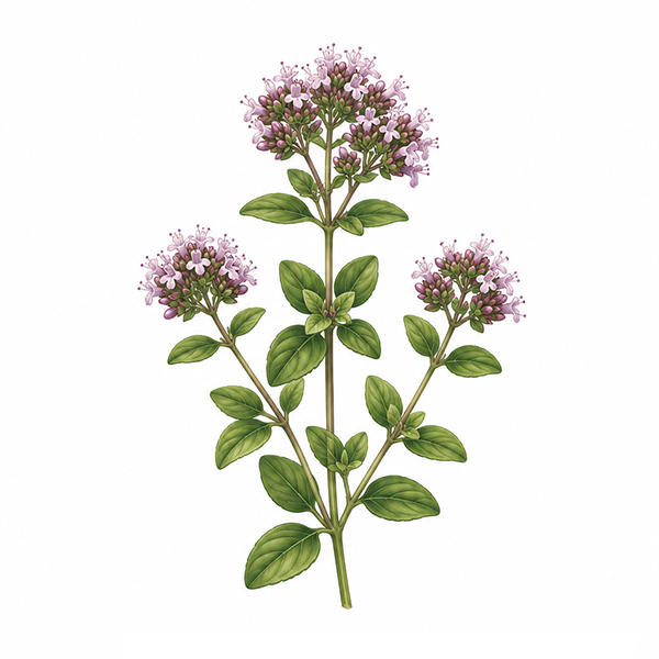 Mini flowerpot with seeds - Image 10