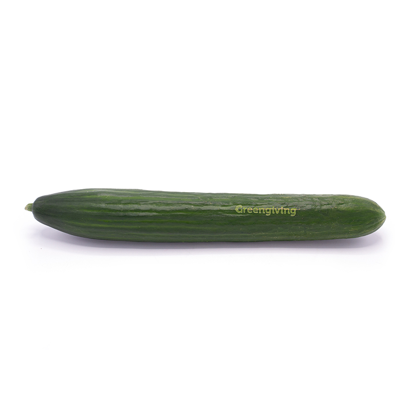Cucumber