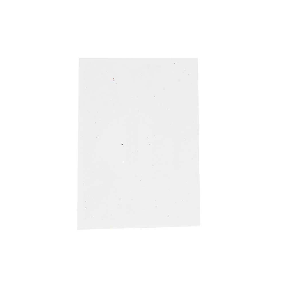 Seedpaper unprinted A6 | 120 gsm