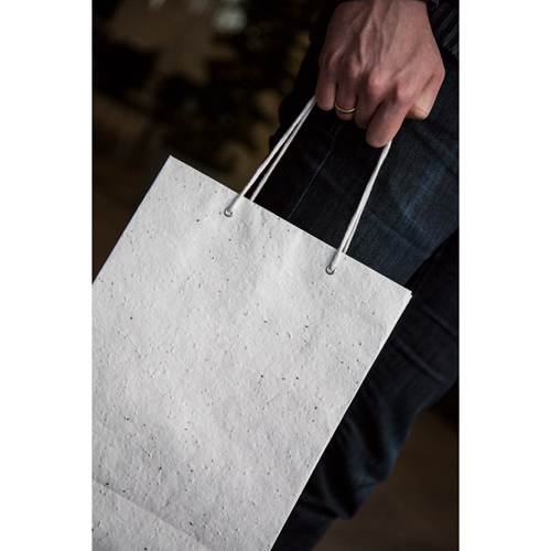 Large Seed Paper bag - Image 2