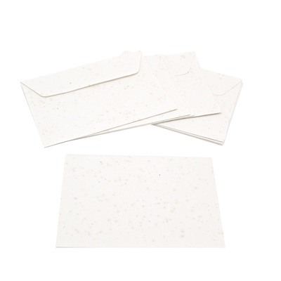 Seed paper envelope EA6 - Image 3