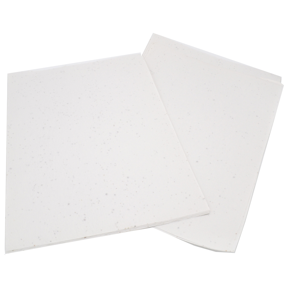 Seedpaper unprinted A3 120gsm