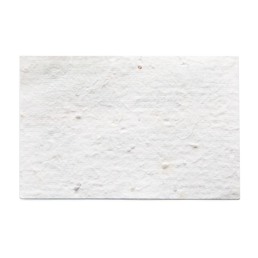 Seed paper business cards - Image 4