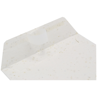 Seed paper envelope EA6 - Image 4