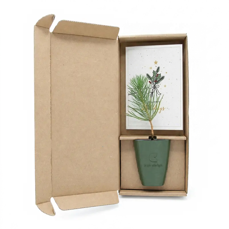 Tree gift in box with logo | Christmas