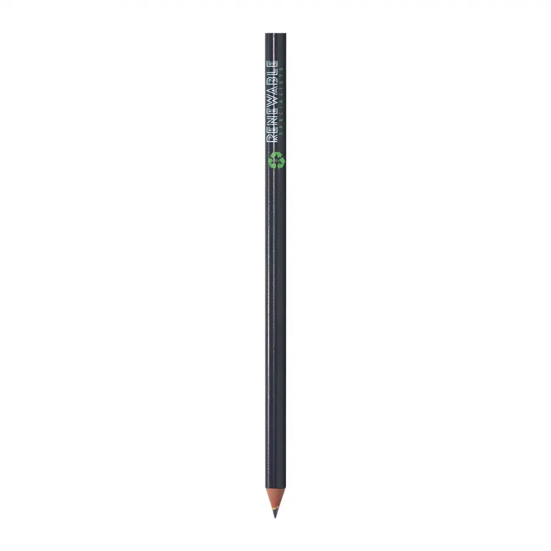 BIC potlood Evolution Classic Cut Ecolutions - Image 2