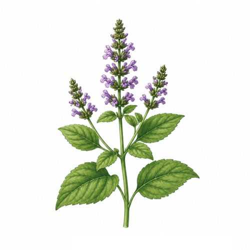 Sprout pencil - Image 15
