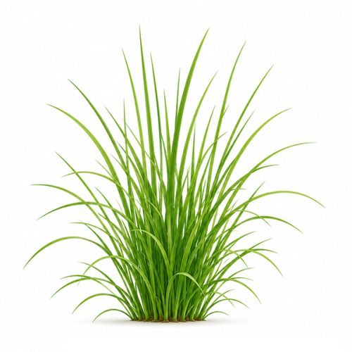 Mini flowerpot with seeds - Image 15
