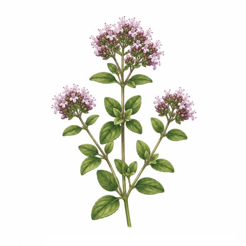 Mini flowerpot with seeds - Image 10