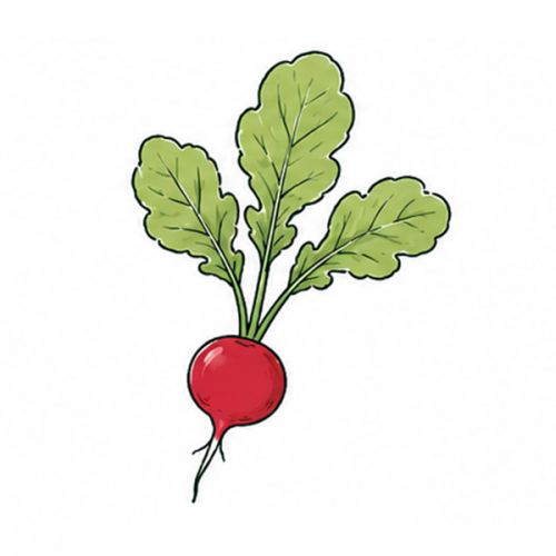 Seed packets tomato fibre 101 x 105 mm - Image 16