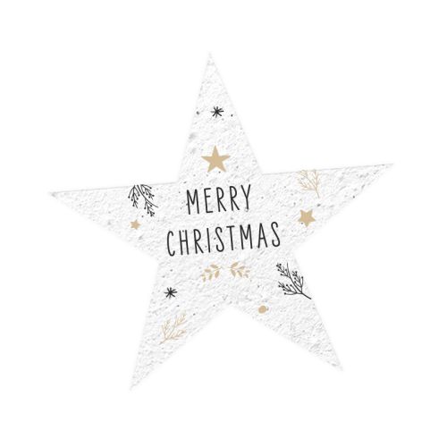 Seed paper star - Image 1