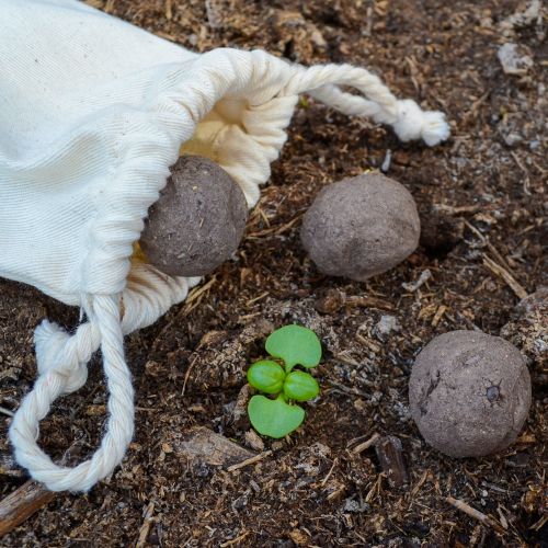 3 seed bombs in bag - Image 3