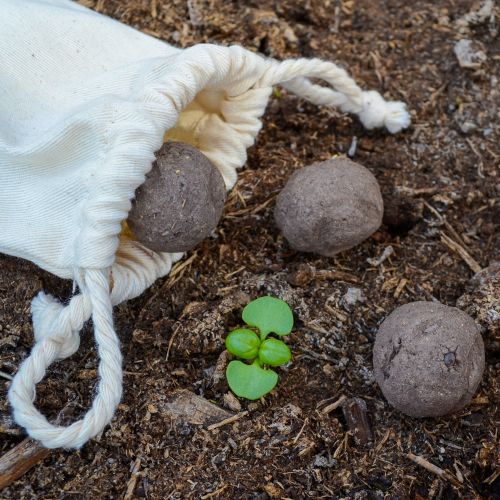5 seed bombs in bag - Image 4