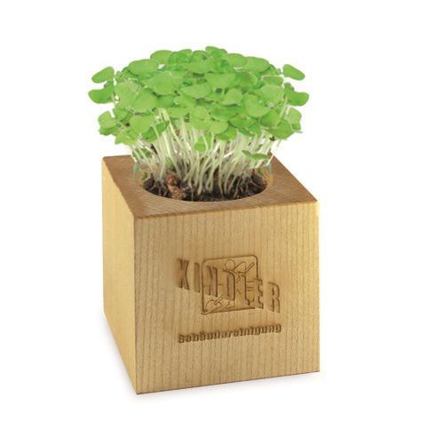 Plant set Maxi - Image 5