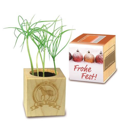 Plant set with wrapper - Image 3