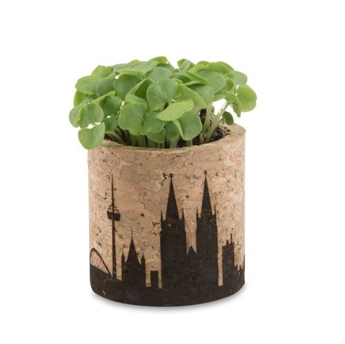 Cork plant set round - Image 2