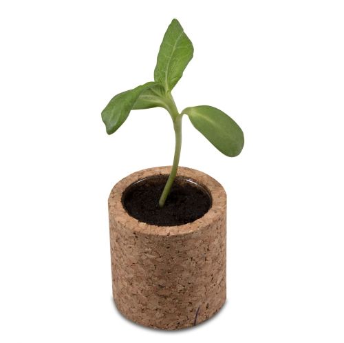 Cork plant set round - Image 3