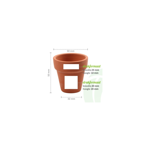 Flower in pot - Image 6