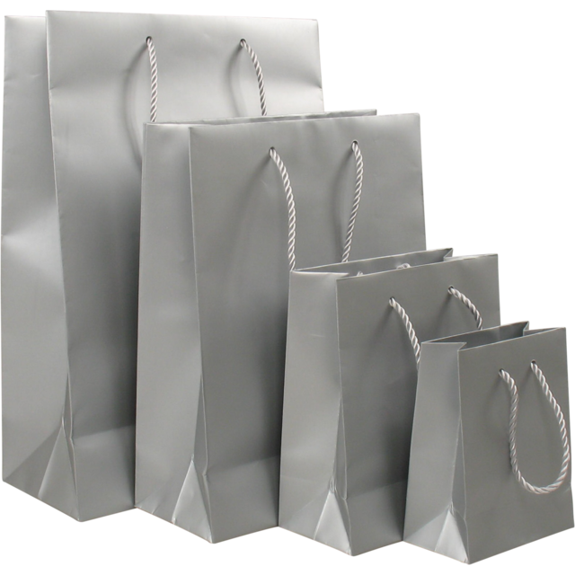 Luxury paper bag | Small