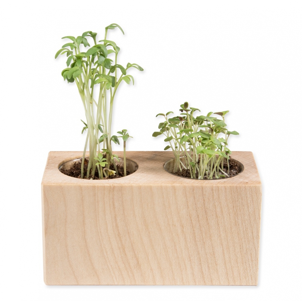 Plant set - Double