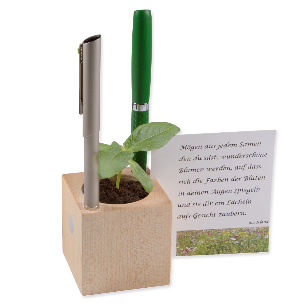 Pen tray with seeds | Eco gift