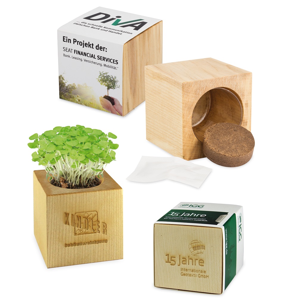 Plant set Maxi | Eco promotional gift