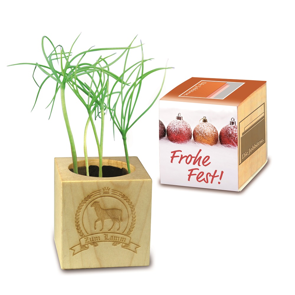 Plant set with wrapper - Image 2
