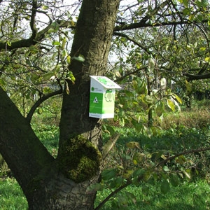 Cardboard birdhouse - Image 5