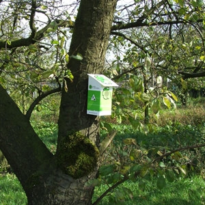 Cardboard birdhouse FC - Image 5