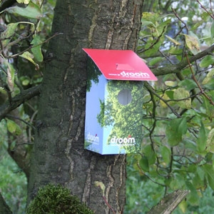 Cardboard birdhouse - Image 6