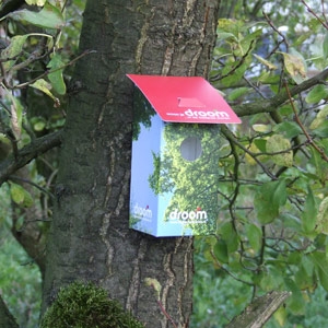 Cardboard birdhouse FC - Image 6