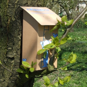 Cardboard birdhouse - Image 7